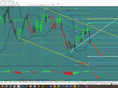 EUR/JPY: Bearish momentum remains, target at 160.31