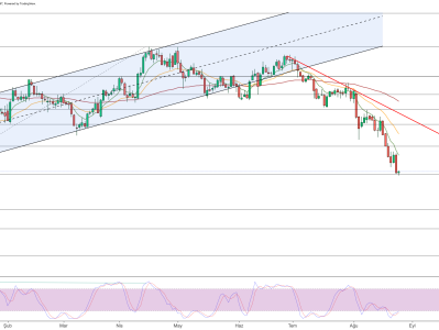 The outlook for the US dollar is uncertain - watch for changes in Fed policy